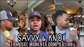 Savvy & Knox(Dog) FUNNIEST MOMENT TIKTOK COMPILATION | #funnydogs #doglover