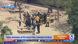 Teens sickened after ingesting cannabis edibles on field trip