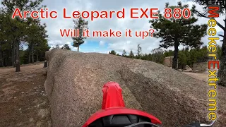 Arctic Leopard - More thoughts on the EXE 880!