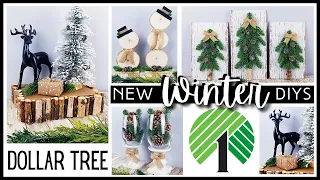 *NEW* NEUTRAL WINTER DOLLAR TREE DIYs! Rustic Natural Home Decor | EASY DIY Crafts You MUST TRY 2022