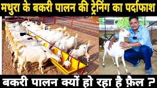 Goat Farming का काला सच | Goat Farming In India 2021 | नया फार्म शुरू करने वाले कृपया सावधान रहे