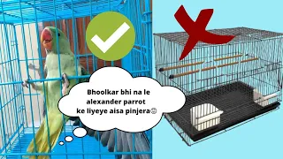 भूलकर भी ना ले Alexander Parrots के लिए ऐसा पिंजरा ! Alexander parrot cage setup.