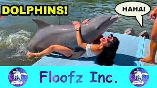 The Funniest Dolphins!