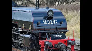 Beyer-Garratt 6029 - Bathurst Steam Weekend 2022