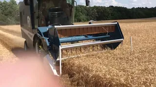 R1 combine with 96inch header wheat harvest 2019