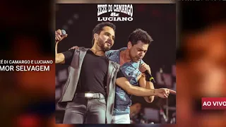 Zezé Di Camargo e Luciano Ao Vivo - Amor Selvagem (Clássicos Sertanejo 2019 )