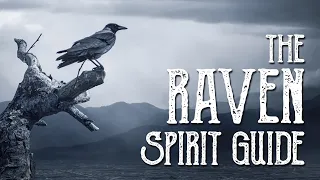 Raven Spirit Guide - Ask the Spirit Guides Oracle Totem Animal - Power Animal Magical Crafting