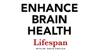 The Science of Keeping the Brain Healthy | Lifespan with Dr. David Sinclair #7