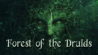 Forest of the Druids 🌿 - Celtic Fantasy Music 🌲 - Enchanting Wiccan Pagan Music 🌳