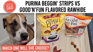 Good 'n' Fun vs Beggin' Dog Treat Comparison