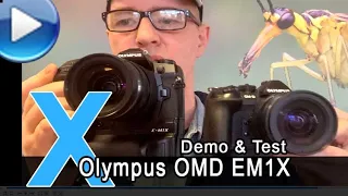 Olympus OMD EM1X im Test