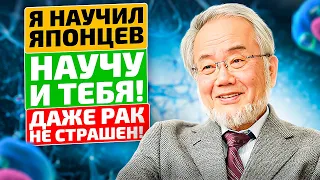 За это японцу дали НОБЕЛЕВСКУЮ ПРЕМИЮ! Однодневное голодание продлевает жизнь