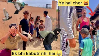 Sabhi kabutr chori 😭 ( Pigeon thief’s came at night 😳 ) sab barbad