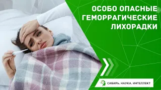 Особо опасные геморрагические лихорадки