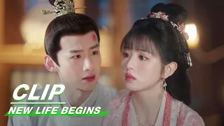 Li Wei Throws Alcohol Bottle at Yin Zheng | New Life Begins EP20 | 卿卿日常 | iQIYI