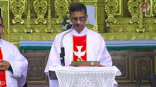 Mass in Konkani - 29th July 2023 - Fr. Peter Fernandes - SFX Church, Chicalim