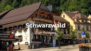 Schwarzwald. Лес и самый большой водопад в Германии.