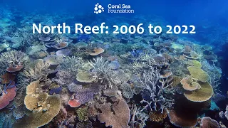 North Reef corals 2006 to 2022