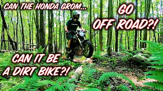 Can the Honda Grom go Off Road? Absolutely! Can it be a dirt bike? Ehh, let's talk about that!
