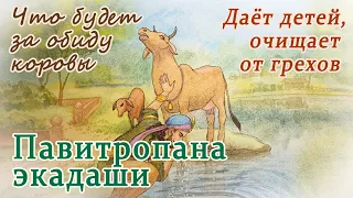 Павитропана Путрада экадаши. Исполняющий желания и дарующий благочестивых детей.