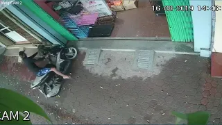 Brave Puppy Scares Away Would-Be Thief - 1064594