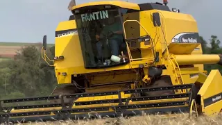 Colheita de trigo New Holland TC59 todoterreno #newholland #agriculture #wheat