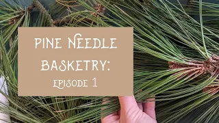 Pine Needle Basketry: Tools and Materials