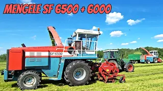 Mengele V10 röhrt heftig mit V8 SF 6500 + bei SF 6000 Grasernte mit & Deutz & Farmer & IHC & Kubota