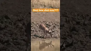 Bow Hunting Antelope - One Shot Drop!