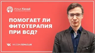 Помогает ли фитотерапия при ВСД? / Илья Качай