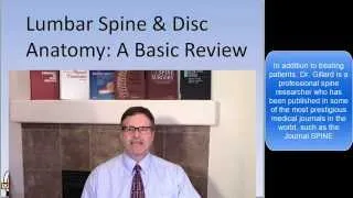 Dr. Gillard's presentation of Lumbar Spine and Disc Anatomy