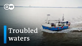 Brexit and British fishermen | DW Documentary