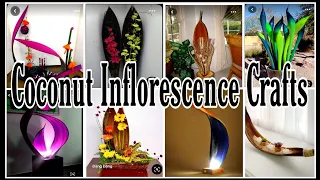 Coconut Palm Inflorescence Crafts ideas / Home Decor Ideas / Room Decor Ideas #outofwaste