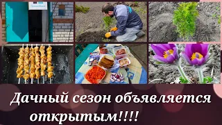 🌺Открываем дачный сезон🌺 Часть 1