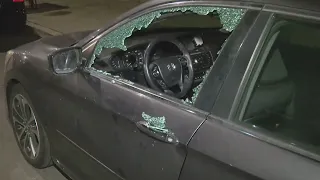 Over 20 cars vandalized in South Loop overnight