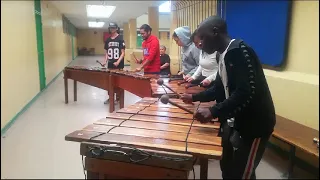 fireworks song Marimba cover ##