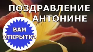 Поздравление Антонине