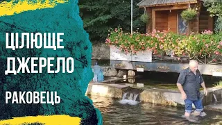 Раковець цілюще джерело історія появи