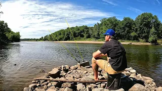 Nobody Eats This AWESOME TASTING FISH!! (Bank Fishing)