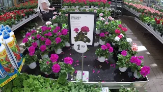Цветочный магазин - рай для садовников. Германия.