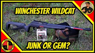 Winchester Wildcat 22 Rifle Review- Budget Friendly Blaster!