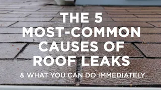 The Five Most–Common Causes of Roof Leaks – And What You Can Do