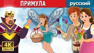 ПРИМУЛА | Primrose Story | русский сказки