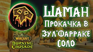 [TBCC] АОЕ Фарм шаманом в ЗФ. Прокачка шамана WoW Burning Crusade Classic