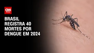 Brasil registra 40 mortes por dengue em 2024 | CNN PRIME TIME