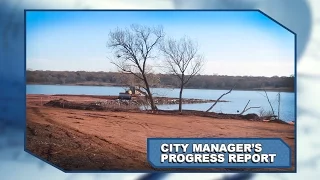 City Manager's Progress Report: December 2016