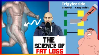 The Science of Fat Loss Explained