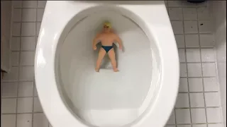 Will it Flush? - Stretch Armstrong