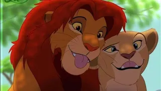 Lion king: Simba's x Nala's tribute