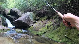 Tenkara Fly Fishing - Trout Fishing North Carolina Backcountry